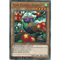 DANE-EN024 Star Staring Starling Rare 1st Edition NM