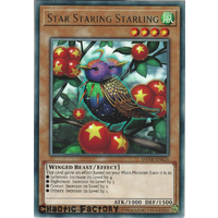 Yugioh DANE-EN024 Star Staring Starling Rare 1st Edition NM