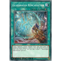 DANE-EN060 Guardragon Reincarnation Common 1st Edition NM
