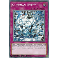 Yugioh DANE-EN079 Snowman Effect Common 1st Edition NM