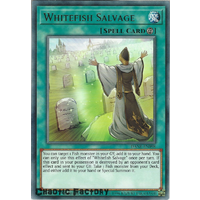 DANE-EN098 Whitefish Salvage Rare 1st Edition NM