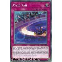 DIFO-EN080 Vivid Tail Common 1st Edition NM