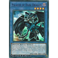 DLCS-EN069 Paladin of Dark Dragon PURPLE Ultra Rare 1st Edition NM