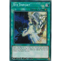 DLCS-EN145 Xyz Import Secret Rare 1st Edition NM