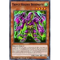 DOOD-EN029 Triple-Headed Behemoth Common 1st Edition NM