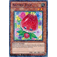 Yugioh DT03-EN020 Naturia Tulip Duel Terminal Normal Parallel Rare 1st Edition NM