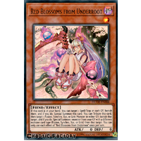DUDE-EN006 Red Blossoms from Underroot Ultra Rare 1st Edition NM