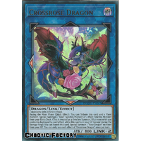 DUOV-EN015 Crossrose Dragon Ultra Rare 1st Edition NM