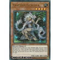 DUOV-EN054 Traptrix Genlisea Ultra Rare 1st Edition NM