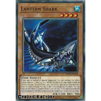 ETCO-EN018 Lantern Shark Common 1st Edition NM