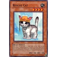 Rescue Cat - FET-EN033 - Common 1st Edition LP