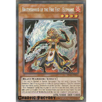 FIGA-EN012 Brotherhood of the Fire Fist - Elephant Secret Rare 1st Edtion NM