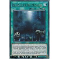 GFP2-EN161 Domain of the True Monarchs Ultra Rare 1st Edition NM