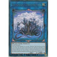 GFTP-EN021 Sunavalon Dryatrentiay Ultra Rare 1st Edition NM