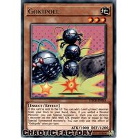 GRCR-EN044 Gokipole Rare 1st Edition NM