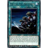 GRCR-EN053 Ties of the Brethren Rare 1st Edition NM