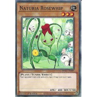 HAC1-EN099 Naturia Rosewhip Common 1st Edition NM