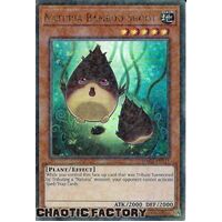 HAC1-EN111 Naturia Bamboo Shoot Duel Terminal Ultra Parallel Rare 1st Edition NM