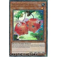 HAC1-EN116 Naturia Cherries Duel Terminal Ultra Parallel Rare 1st Edition NM