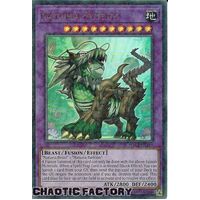 HAC1-EN119 Naturia Exterio Duel Terminal Ultra Parallel Rare 1st Edition NM