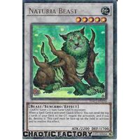 HAC1-EN120 Naturia Beast Duel Terminal Ultra Parallel Rare 1st Edition NM