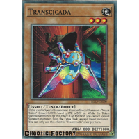 IGAS-EN030 Transcicada Common 1st Edition NM