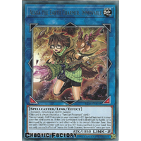 IGAS-EN048 Aussa the Earth Charmer, Immovable Rare 1st Edition NM