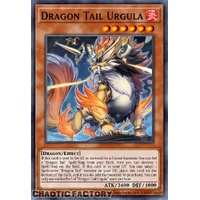JUSH-EN004 Dracotail Urgula Super Rare 1st Edition NM