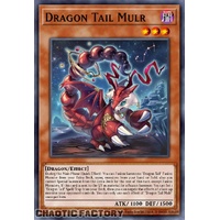 JUSH-EN005 Dracotail Mululu Ultra Rare 1st Edition NM