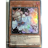 LCKC-EN080 Ash Blossom & Joyous Spring Ultra Rare 1st Edition NM