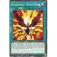 LD10-EN015 Common Salamangreat Transcendence 1st Edition NM