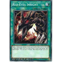LDS1-EN019 Red-Eyes Insight Common 1st Edition NM