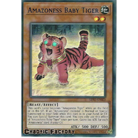 LDS1-EN023 Amazoness Baby Tiger Blue Ultra Rare 1st Edition NM