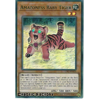 LDS1-EN023 Amazoness Baby Tiger Green Ultra Rare 1st Edition NM