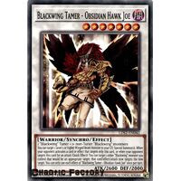 LDS2-EN042 Blackwing Tamer - Obsidian Hawk Joe Common 1st Edition NM