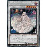 LDS2-EN113 Garden Rose Maiden Secret Rare 1st Edition NM
