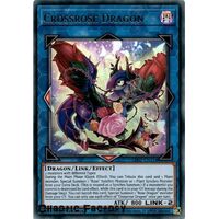 LDS2-EN114 Crossrose Dragon Ultra Rare 1st Edition NM