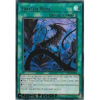 LDS2-EN119 Frozen Rose Blue Ultra Rare 1st Edition NM