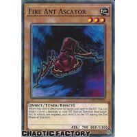 LDS3-EN046 Fire Ant Ascator Common 1st Edition NM
