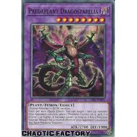 LDS3-EN075 Predaplant Dragostapelia Common 1st Edition NM