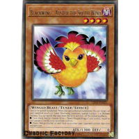 Yugioh LED3-EN025 Blackwing - Auster the South Winds‎ Rare 1st Edition NM