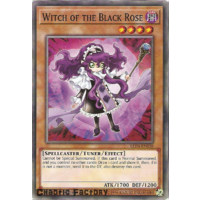 Yugioh LED4-EN030 Witch of the Black Rose Common 1st Edition NM