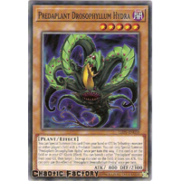 Yugioh LED5-EN050 Predaplant Drosophyllum Hydra Common 1st edition NM