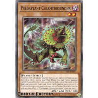 Yugioh LED5-EN051 Predaplant Chlamydosundew Common 1st edition NM