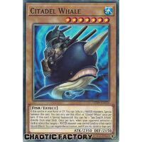 LED9-EN026 Citadel Whale Common 1st Edition NM