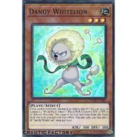 LEDE-EN097 Dandy Whitelion Super Rare 1st Edition NM