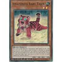 Amazoness Baby Tiger - LEDU-EN009 - Ultra Rare 1st Edition NM