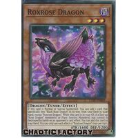 LIOV-EN009 Roxrose Dragon Super Rare 1st Edition NM