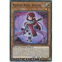 LIOV-EN010 Ruddy Rose Witch Super Rare 1st Edition NM