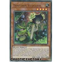 LIOV-EN016 Traptrix Vesiculo Ultra Rare 1st Edition NM